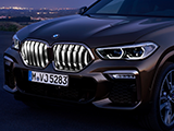 illuminated radiator grille